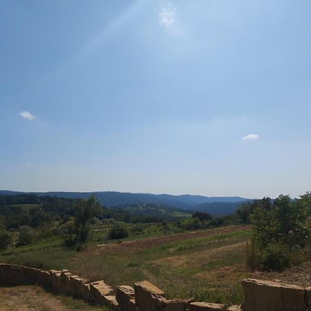 Bitini Farm Apartment Gračišče Esterno foto