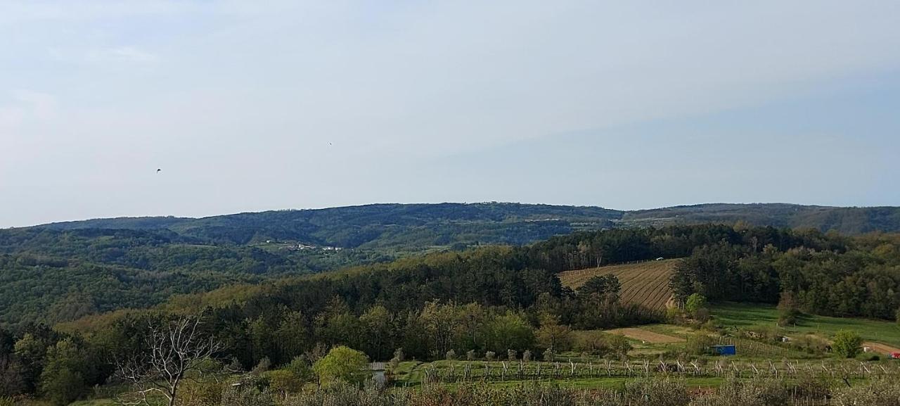 Bitini Farm Apartment Gračišče Esterno foto