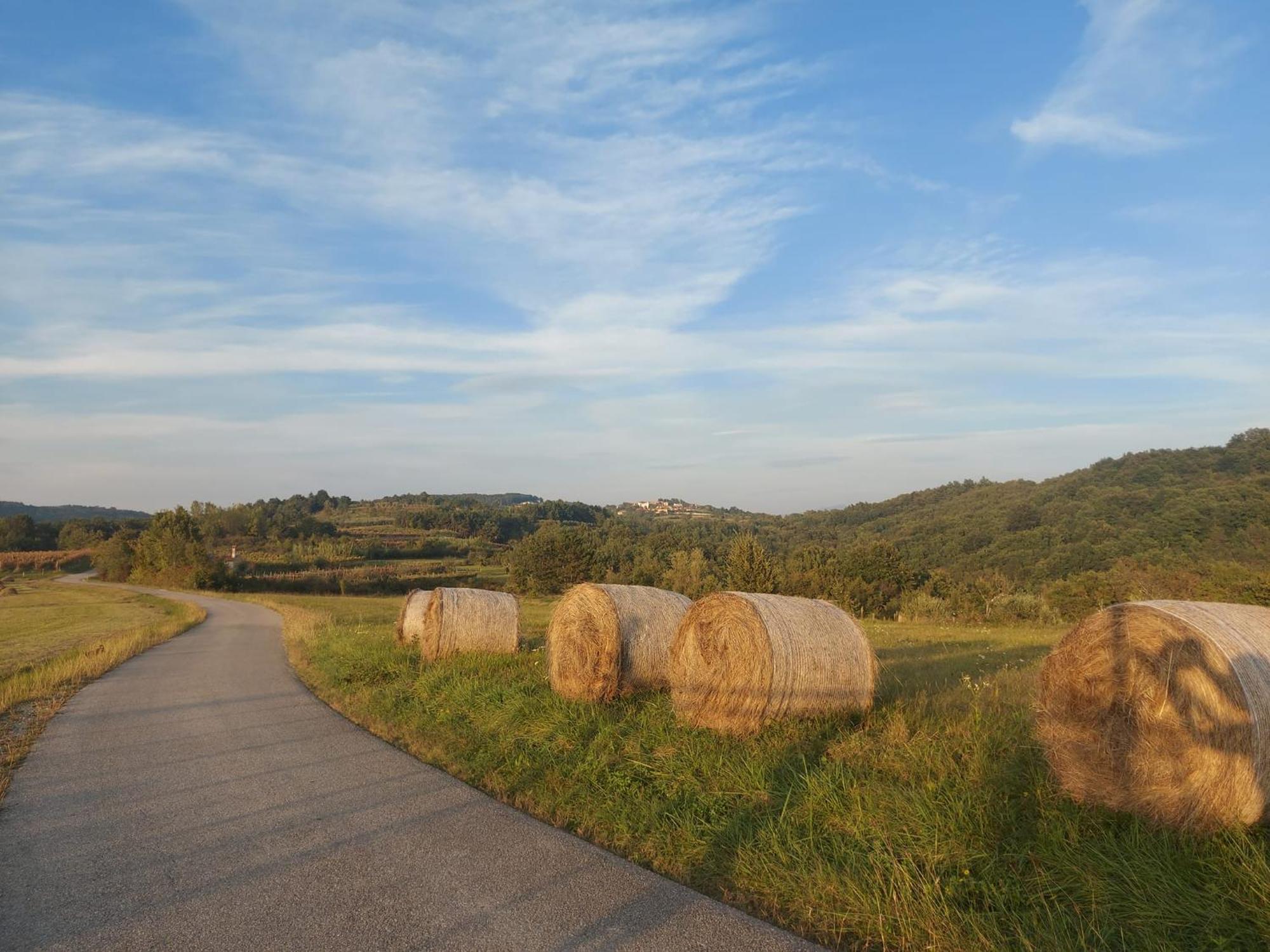 Bitini Farm Apartment Gračišče Esterno foto